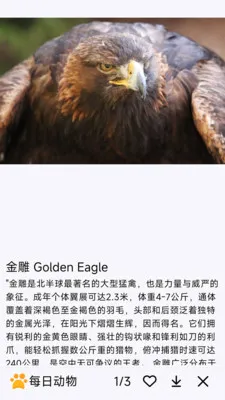 ÿ�ն���2026�ٷ����°汾v1.0.0 ��׿��