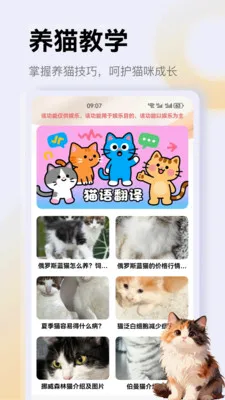 ����è��app(è��һվʽƽ̨)v1.3 ��Ѱ�