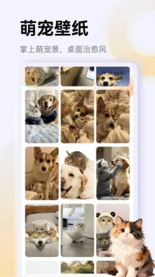 ����è��app(è��һվʽƽ̨)v1.3 ��Ѱ�