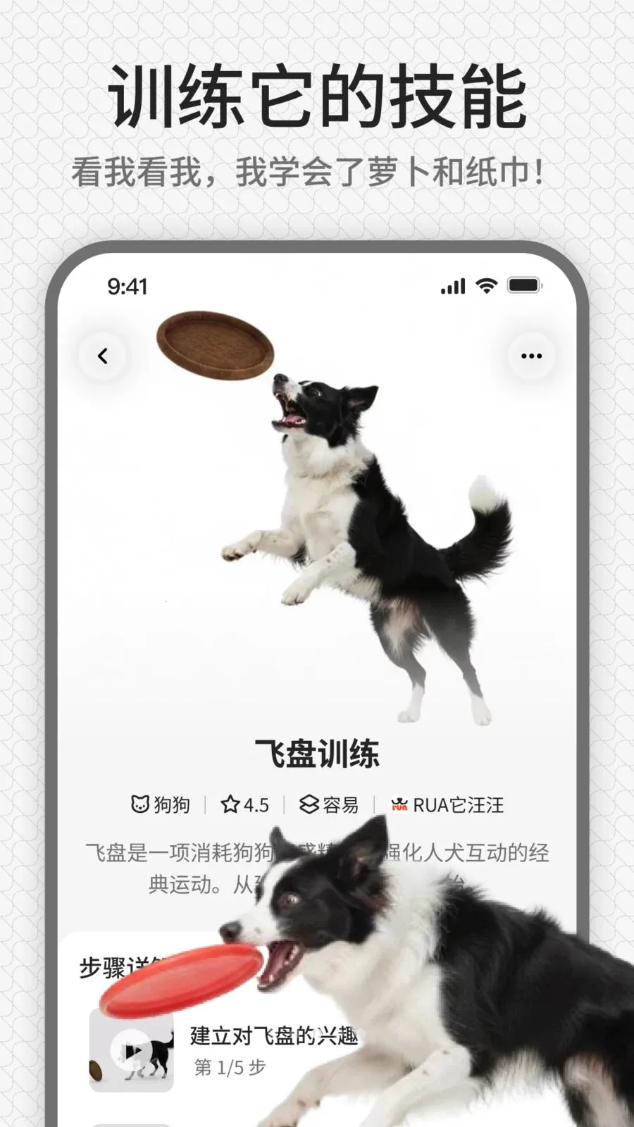 rua��(����ѵ��ƽ̨)v1.0.1 ��Ѱ�