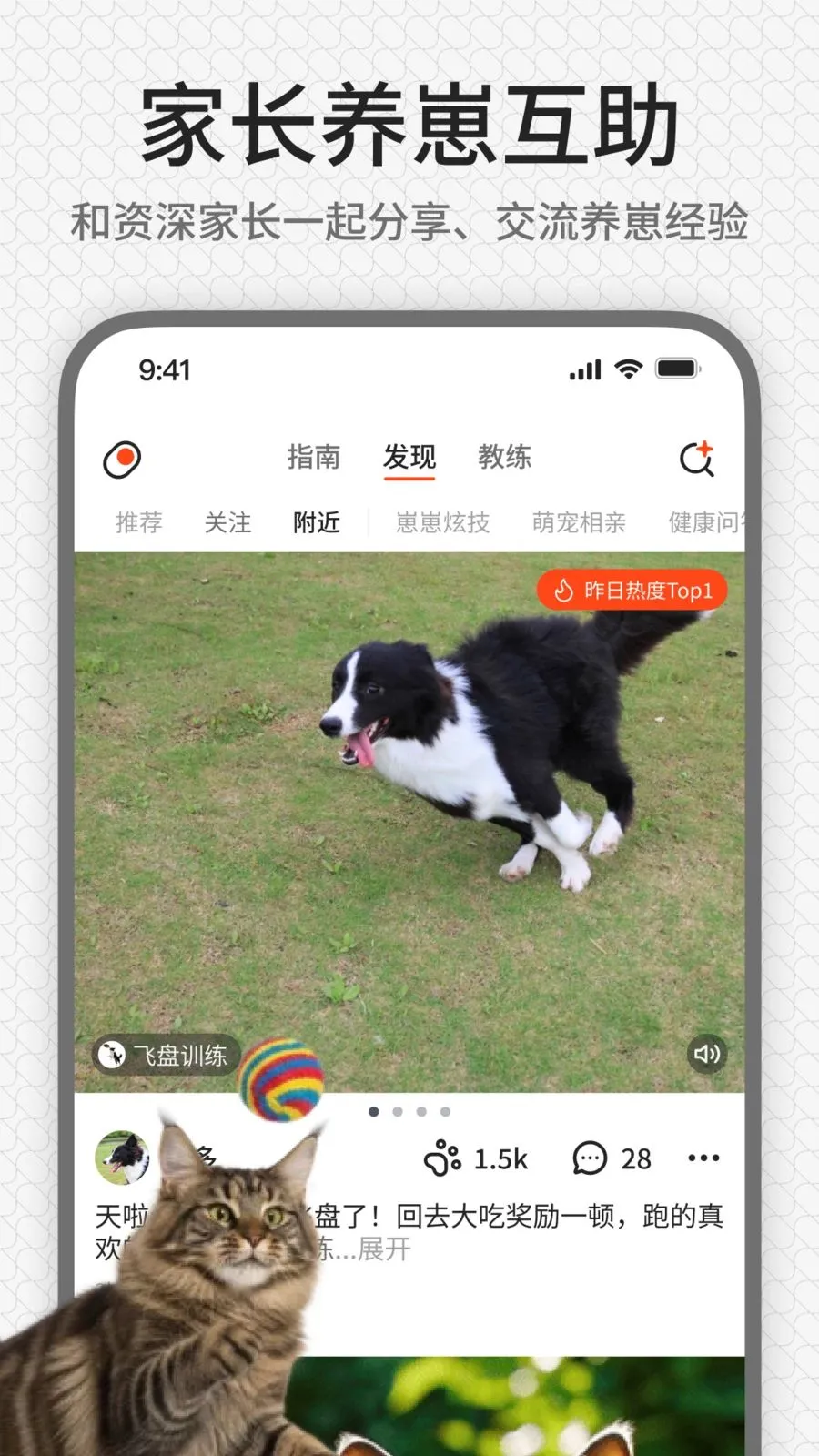 rua��(����ѵ��ƽ̨)v1.0.1 ��Ѱ�