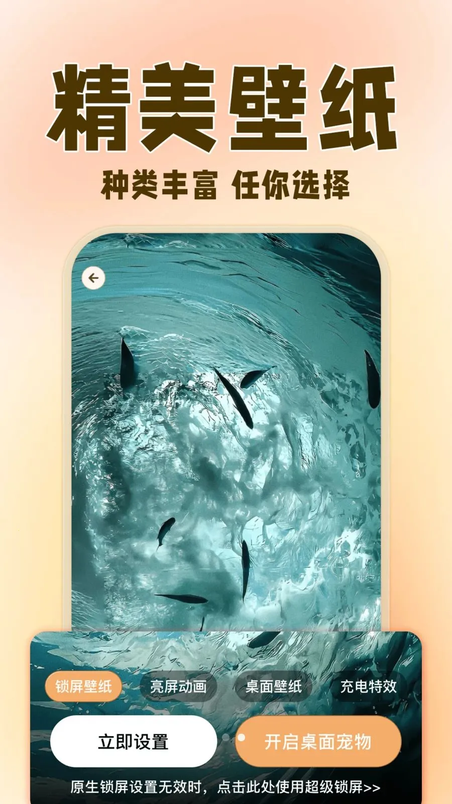 �����ȳ辫��2026�ٷ����°汾v1.0.3 ��Ѱ�