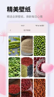 K��(����滮Ӧ��)v1.0.0 ��Ѱ�