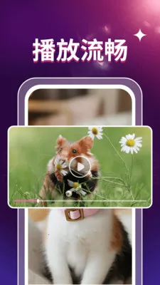 ˽��ӰƬ������(��Ƶ����APP)v1.0.3 �ֻ���