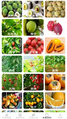 �ͷ׻���2026�ٷ�����v2.7.2.3 ��Ѱ�